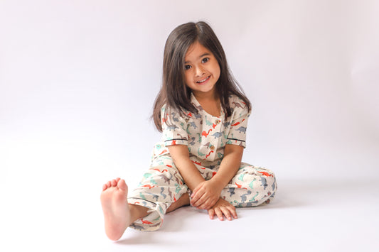 Unisex Kids Pajama Set  -  Colorful Dinosaur Print